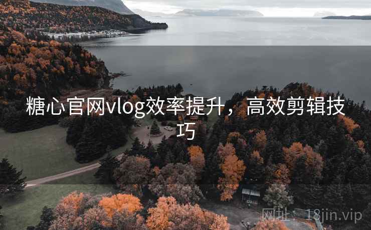 糖心官网vlog效率提升,高效剪辑技巧 第2张 糖心官网vlog效率提升,高效剪辑技巧 第2张