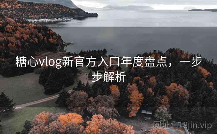 糖心vlog新官方入口年度盘点,一步步解析